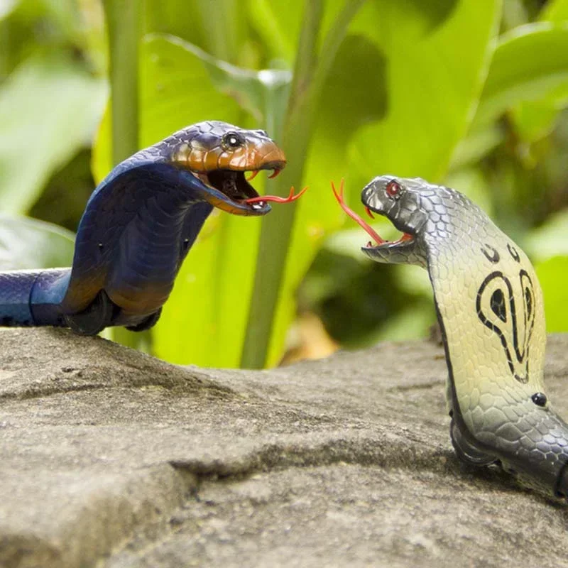 RC Snake Realistic Snake Toys  - Ir Infrared Receiver recensione e prezzo