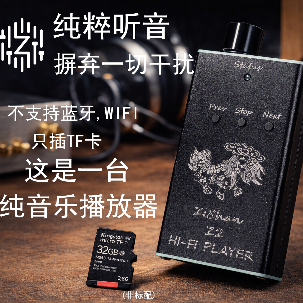 Zishan Z2 HiFi DSD Hard Soluti - Diy Electronics Audio recensione e prezzo