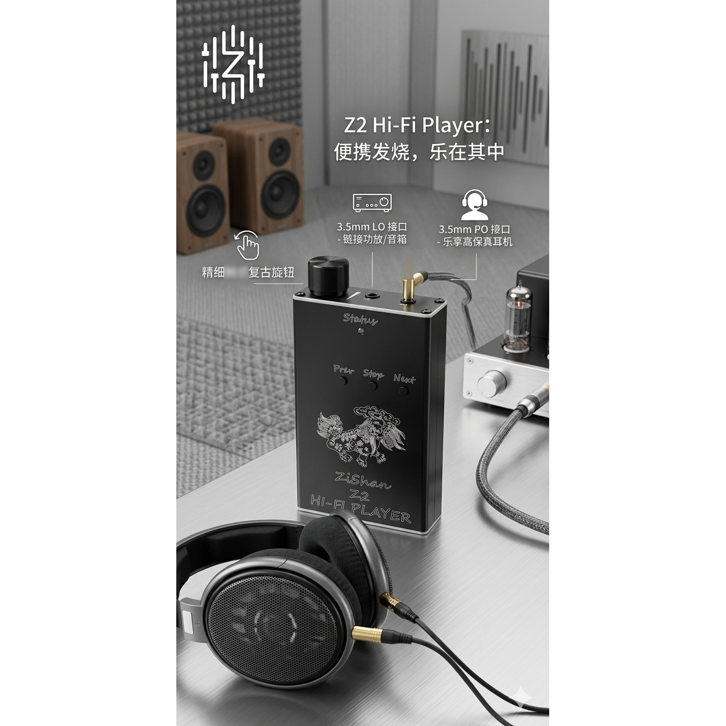 Zishan Z2 HiFi DSD Hard Soluti - Diy Electronics Audio recensione e prezzo